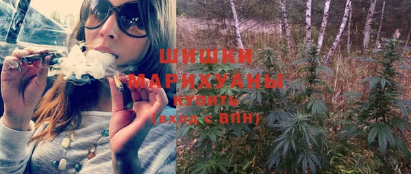 дживик Осташков