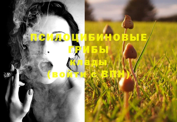 метадон Осинники