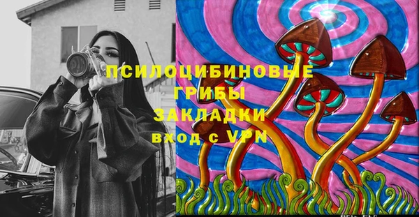 дживик Осташков