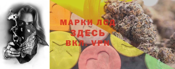 дживик Осташков